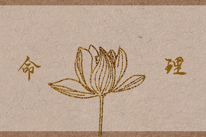 择吉皇历,老皇历查询,老皇历杳询